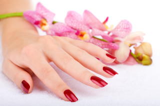 Woman hand red nails pink - a womans hand free wallpaper