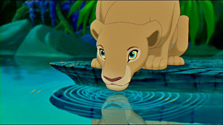Lion cub rock water reflection - don bluth free wallpaper for desktop