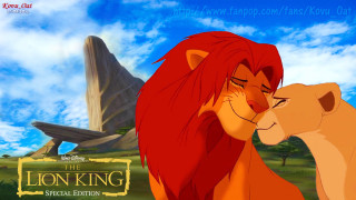 Lion king lion lioness face - beautiful scene free wallpaper
