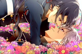 Couple kissing flowers together holding - vanita free wallpaper