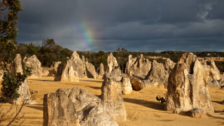 Rainbow desert landscape rocks trees - shining free wallpaper for desktop