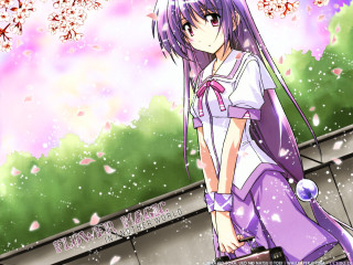 Purple hair girl tree cherry - pink flower and leaves free wallpaper