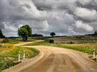 Dirt road tree cloudy sky - the middle of the road free wallpaper