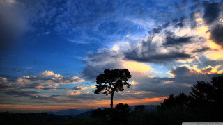 Sunset silhouette tree mountain clouds - colorful cloud free wallpaper