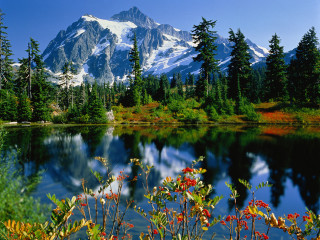 Mountain lake trees foreground background - a lake in the foreground and trees free wallpaper