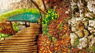 Wooden path lake autumn trees - autumn time free wallpaper