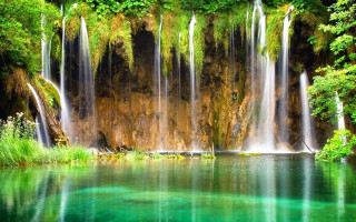 Waterfall trees plants water background - the foreground and a body of water free wallpaper for desktop