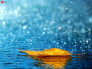 Leaf floating water blue sky - sign free wallpaper