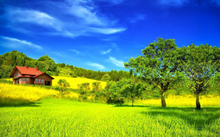 Green field house trees blue - a house and trees free wallpaper