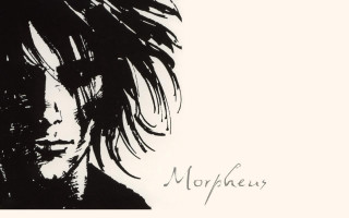 Black white mohawk man glasses - photo of a man free wallpaper