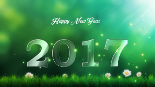 Happy new year daisies grass - daisy free wallpaper