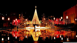 Christmas tree city park night - a christmas tree free wallpaper for desktop