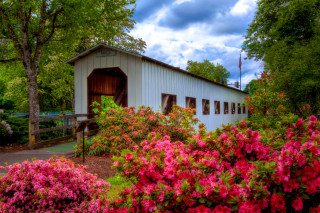 White building pink flowers blue - a white building free wallpaper