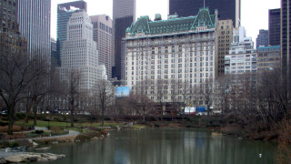 City park pond bridge skyscrapers - tall building and trees free wallpaper