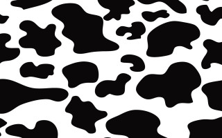 Cow pattern black white silk - texture free wallpaper