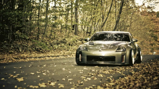 Car driving forest road leaves - forest free wallpaper