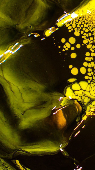 Yellow black object circles closeup - object free wallpaper for mobile