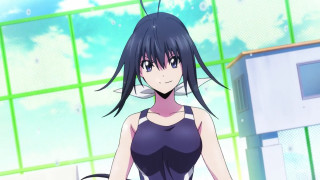 Woman short dress building cat - her shoulder and a cat free wallpaper