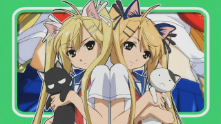 Blonde girls cat stuffed animal - their shoulder free wallpaper