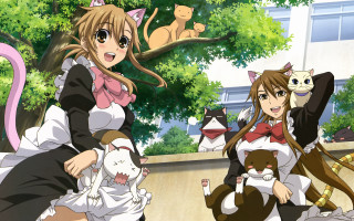 Anime girls with cats surrounded - bow free wallpaper