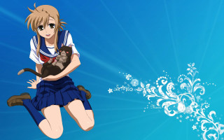 Girl blue skirt cat kyoto - white flower free wallpaper