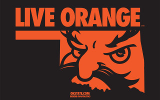 Orange black tiger face live - gritty free wallpaper for desktop