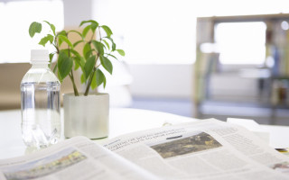 Plant vase table newspaper water - a table next free wallpaper