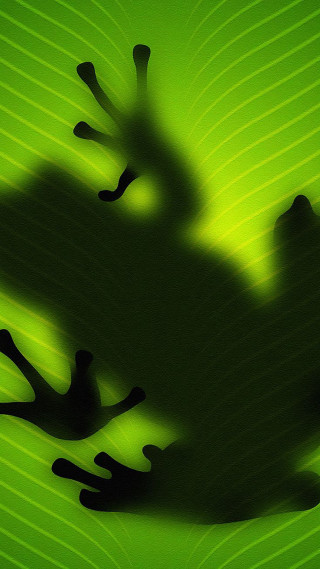 Frog shadow green leaf black - a green leaf free wallpaper for mobile
