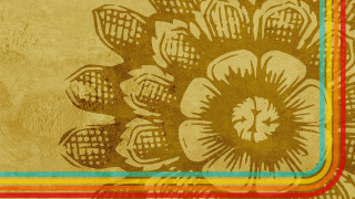 Flower frame grungy background colored - a picture of a flower free wallpaper