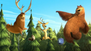 Animals forest trees bushes group - a group of animals free wallpaper for desktop