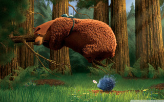 Bear woods bird mouth bird - a bear free wallpaper