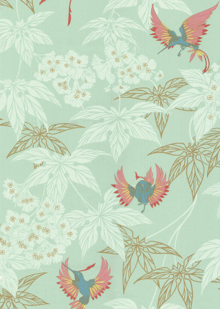 Bird flowers wallpaper bird side - side and a bird free wallpaper for mobile