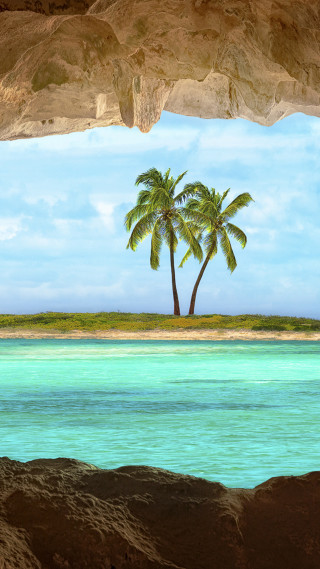 Palm tree water beach rock - free beach wallpaper for mobile