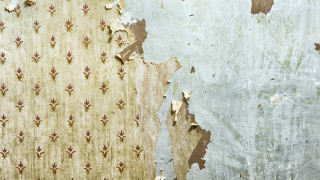 Peeling flower wallpaper torn paper - torn free wallpaper