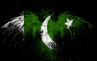 Green white flag crescent star 2 - flag free wallpaper