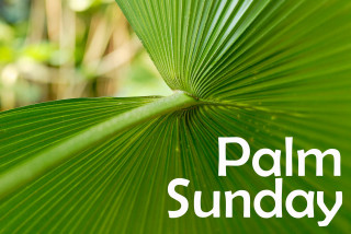 Palm leaf palm sunday green - a green background free wallpaper