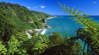 Beach forest view hilltop water - douglas robertson bisset free wallpaper for desktop