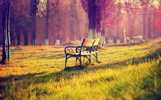 Park bench grass trees cemetery 3 - a cemetery in the background free wallpaper