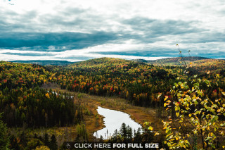 Scenic river fall trees cloudy - scenic free wallpaper