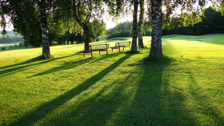 Park benches trees shade sunny - free summer wallpaper
