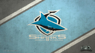 Shark logo blue gray background - a white stripe free wallpaper for desktop