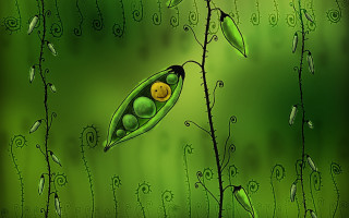 Green pea pod smiley face - a smiley face free wallpaper
