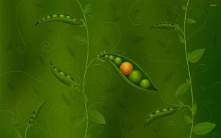 Green background pea pod ball - behance hd free wallpaper
