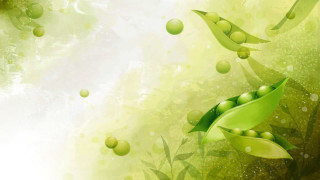 Green background leaves water bubbles - environmental art free wallpaper