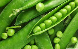 Peas closeup green pods white - beeple free wallpaper