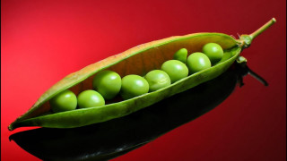 Pea pod green eggs red - a red background behind free wallpaper for desktop