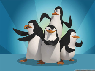Penguins group blue background image - a blue background behind them free wallpaper