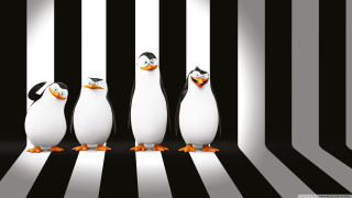 Penguins striped room black white - room free wallpaper for desktop