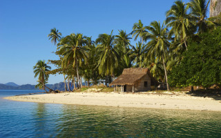 Hut beach palmtrees boat water - a hut free wallpaper for desktop