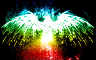 Colorful bird wings spread out - body free wallpaper for desktop
